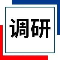 【國際鋼市日報】印度鋼鐵出口量下降28%，螺紋鋼價格止跌反彈