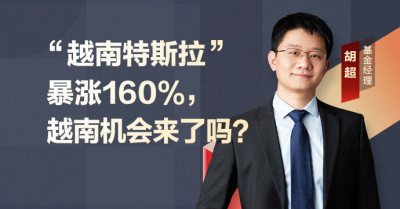 “越南特斯拉”暴漲160%，越南機會來了嗎？