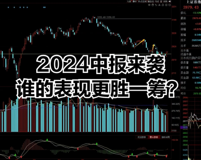 2024上半年全球經濟復蘇路上的機遇與挑战：股市分化下的企業突破之路