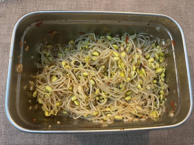 颱風後補纖維 「辣拌黃豆芽」便宜又美味