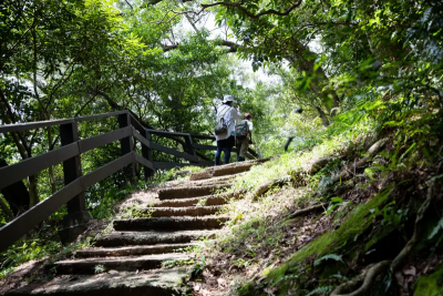 過年美食太罪惡？江怡臻推新北微笑山線　收假前賞景健身第一選擇