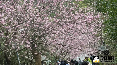 連假出遊旅平險怎麼保？國內旅遊也有隱藏風險　專家教戰投保策略