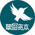 翠鳥資本